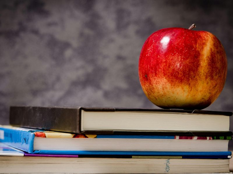 Educación como experiencia (y no solo como servicio)aaaa