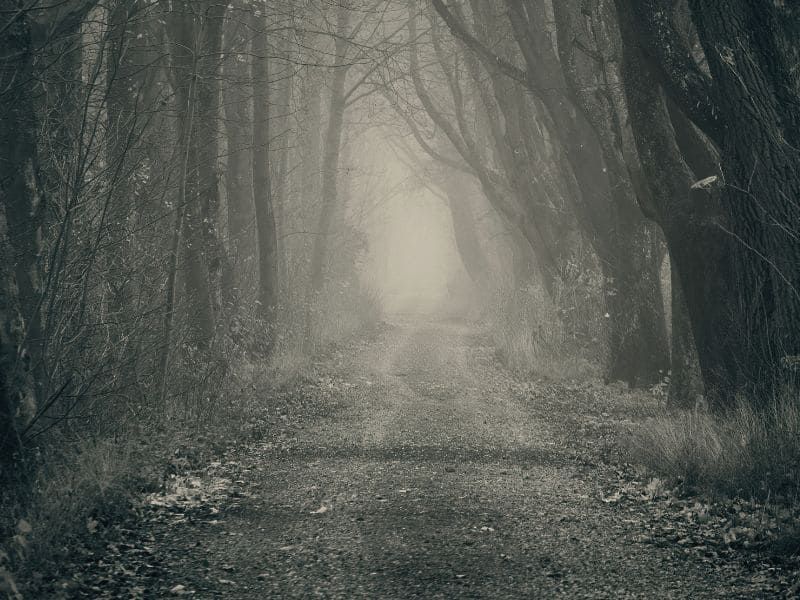 El maestro está perdido